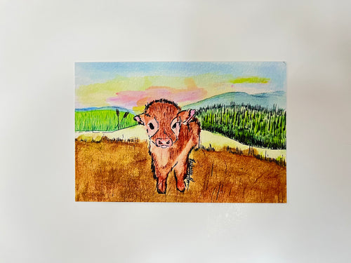 Biscoff the Fluffy Cow (4 x 6)